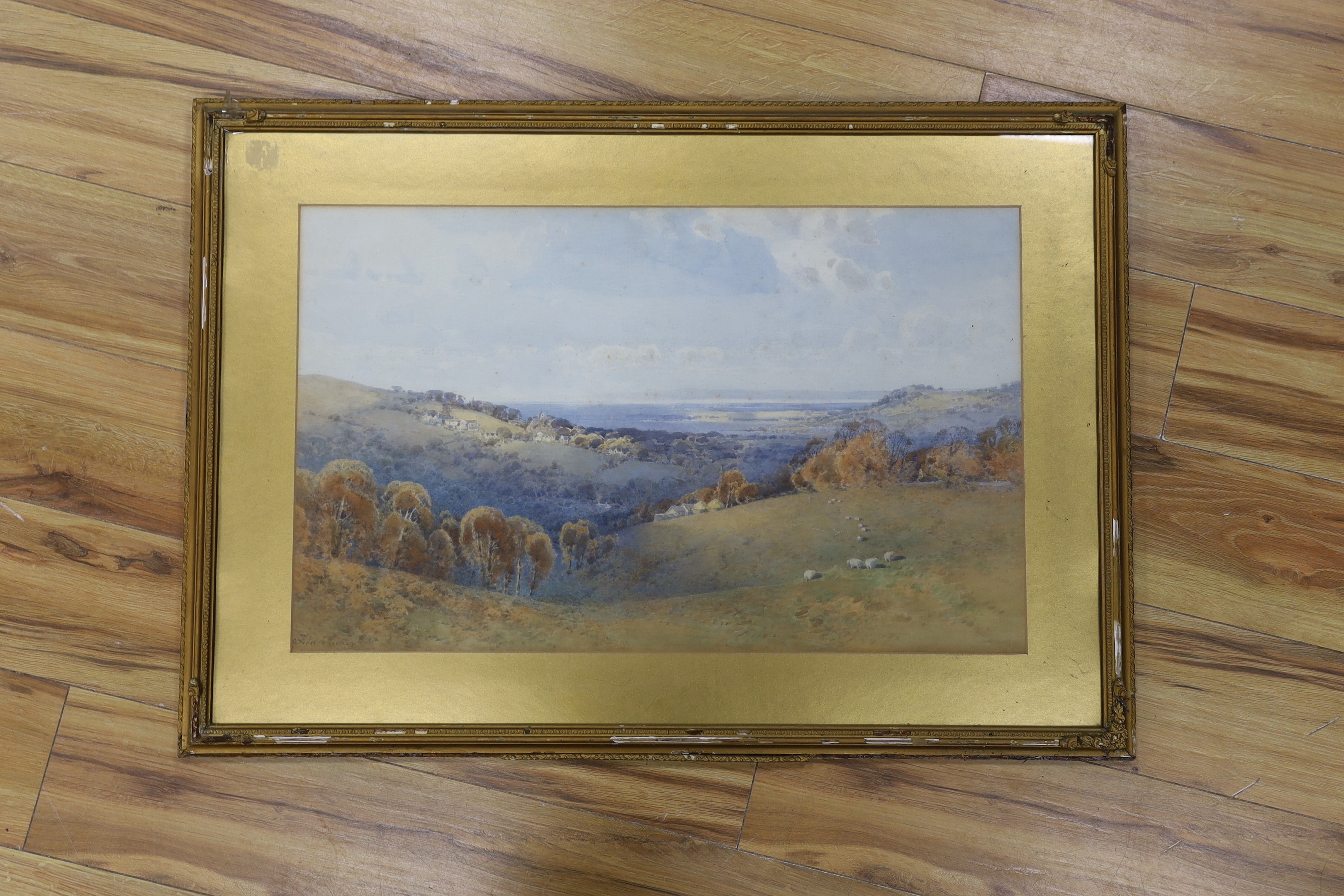 Frederick Tucker (fl.1880-1915), watercolour, Sheep on the Sussex Downs, signed, 43 x 69cm